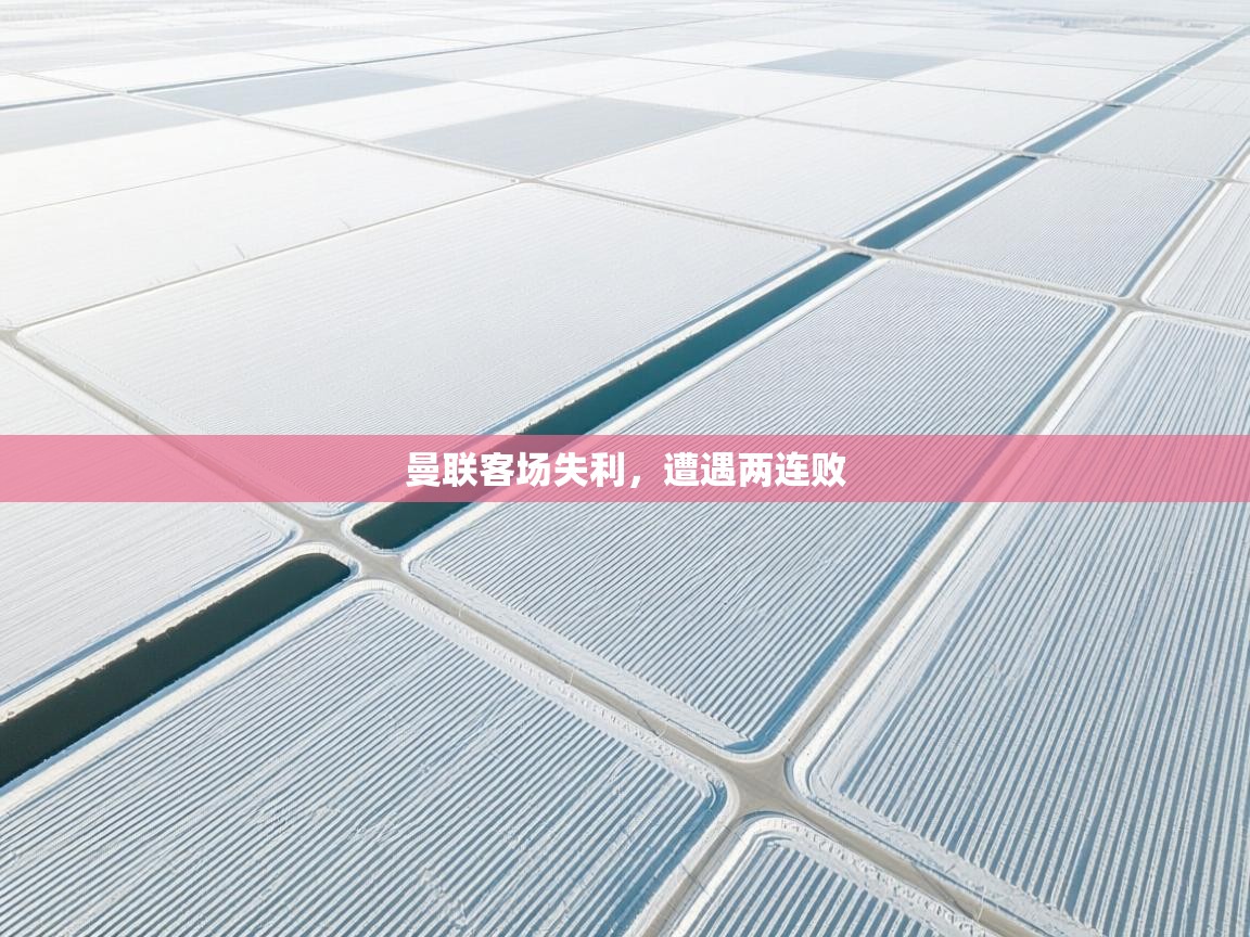 曼联客场失利，遭遇两连败