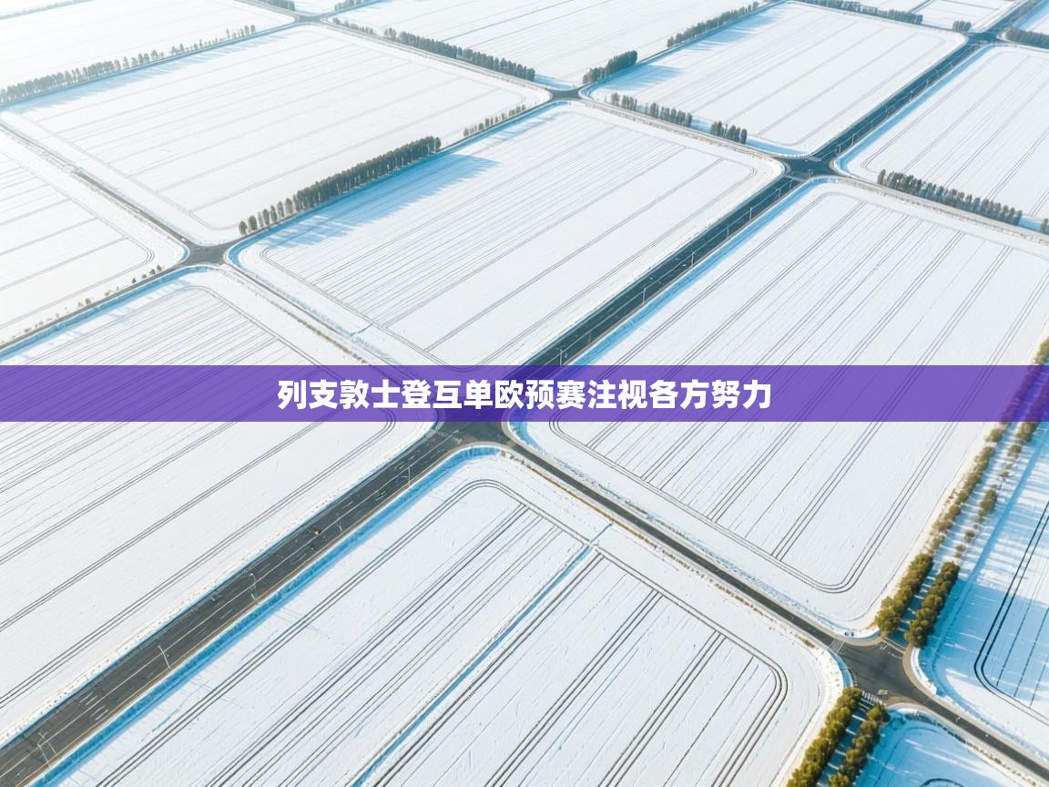 列支敦士登互单欧预赛注视各方努力