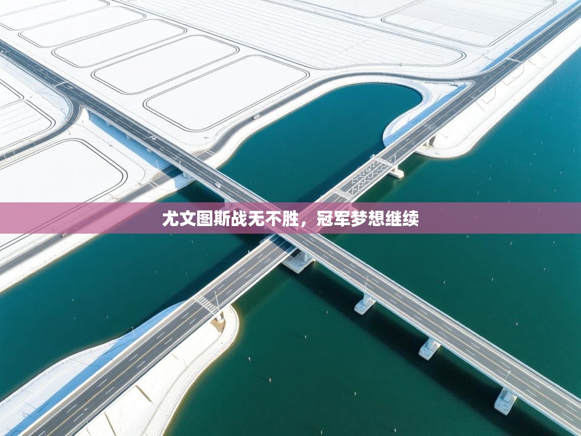 尤文图斯战无不胜，冠军梦想继续  第2张